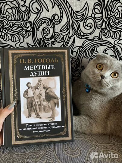 Гоголь, мертвые души, 2 тома в одной книге