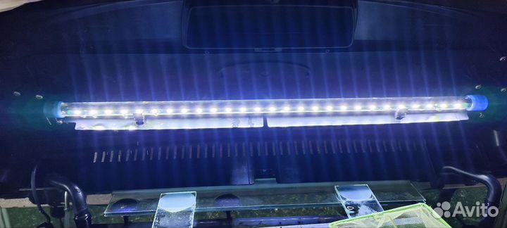 Аквариум Aquael 100 л с тумбой + оборудование