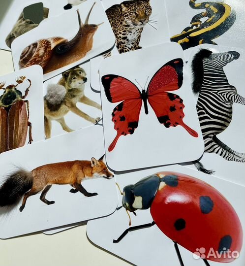 Тактильные карточки Монтессори