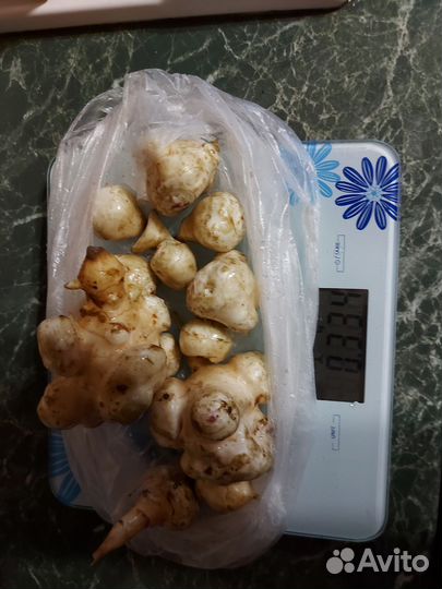 Топинамбур клубни