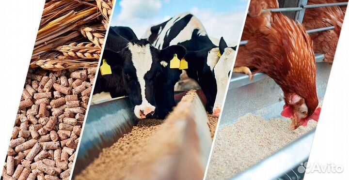 Отруби, зерно, комбикорм