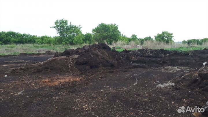 Заказать с доставкой Перегной коровий