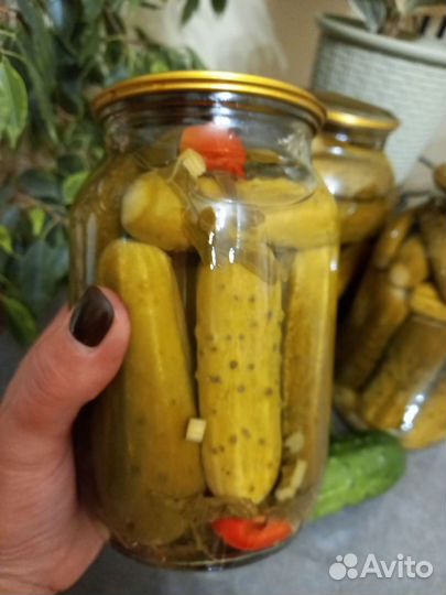 Огурцы маринованные. Домашняя консервация