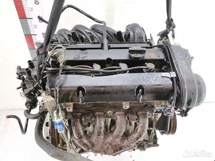 Двигатель (двс) для Ford Focus 2 shda