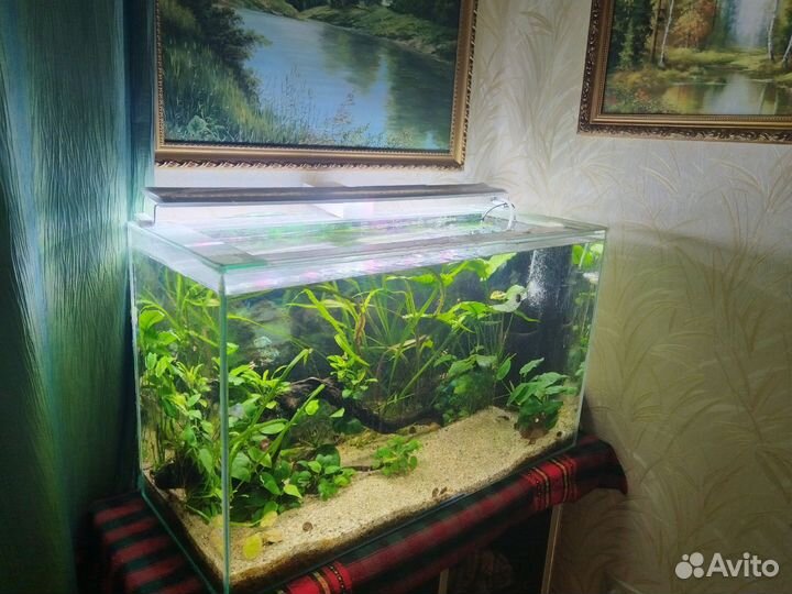 Аквариумы 150л, 25л, 20л, 10л