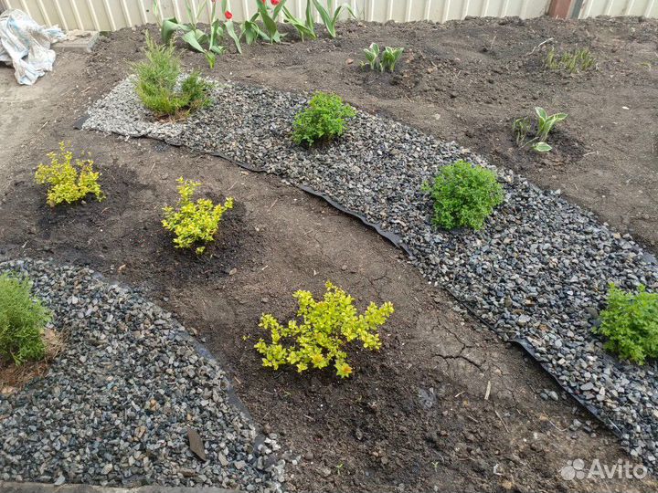 Модный цветник