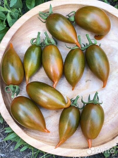 Семена коллекционных томатов