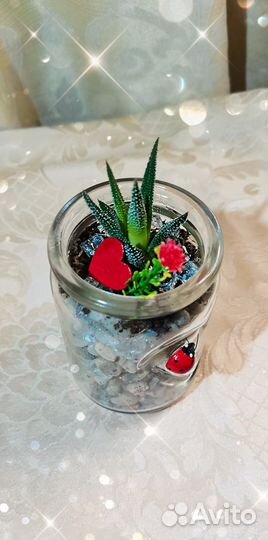 Флорариум на 14 февраля. День Влюблённых