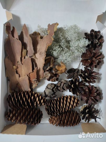 Набор природных материалов для творчества