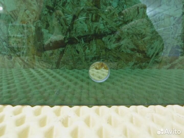 Стекло двери задней левой VW Passat B7 2011-2015 (3AF845025A)