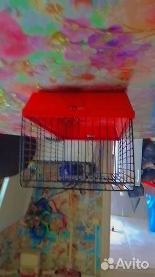 Клетка для грызунов