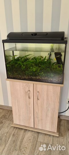 Аквариум с тумбой