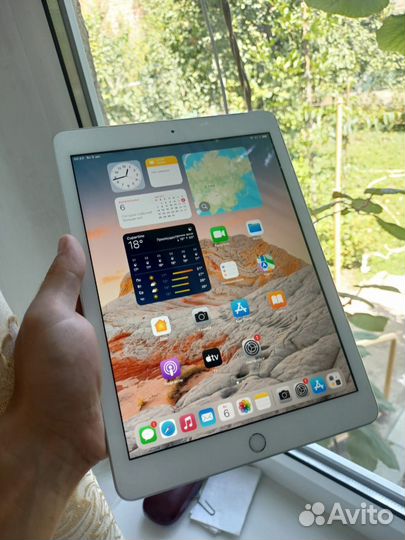 iPad