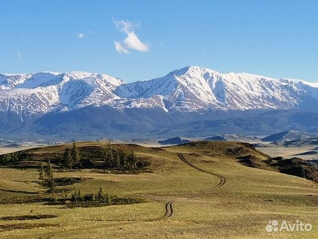 Горный Алтай на автомобиле