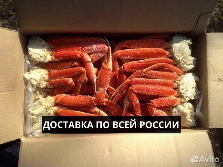 Конечности краба стригуна