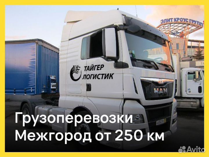 Грузоперевозки Межгород Газель Фура 5-20 тонн