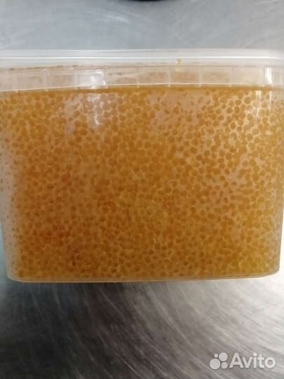 Икра щуки 2023г