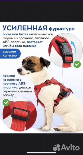 Шлейка для собаки