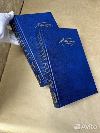 Псс Пушкина в 2х томах опт