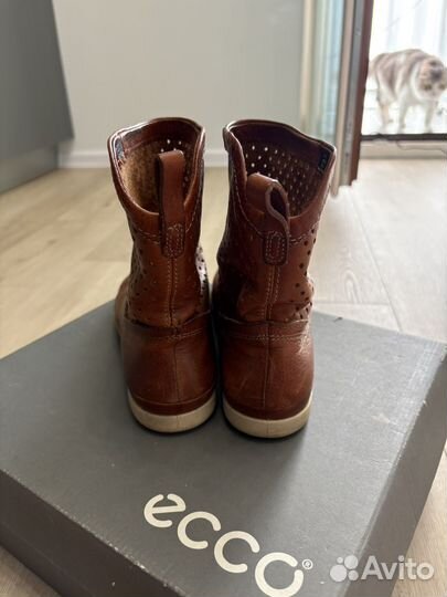 Кожаные ботинки Экко