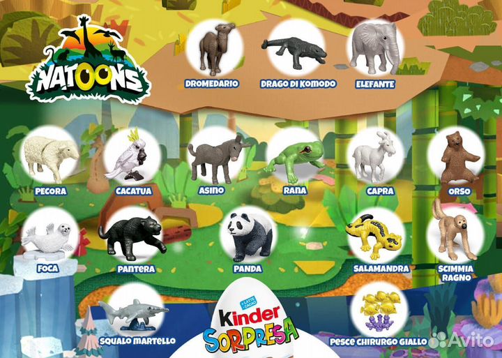 Обмен kinder natoons 2023-2024