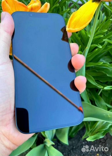 iPhone 13, 256 ГБ