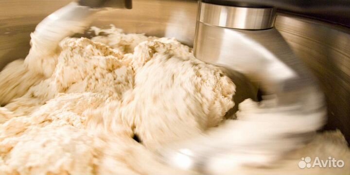 Тестовод без опыта ежедневной оплатой