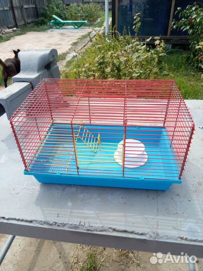 Клетка для грызунов бу