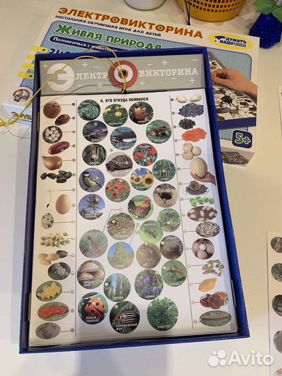 Электровикторина «Живая природа» 5+
