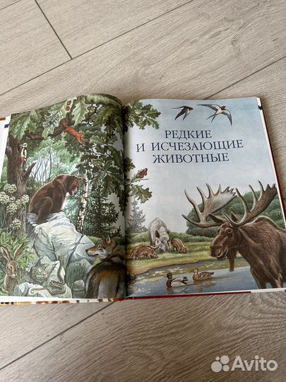 Красная книга животные России