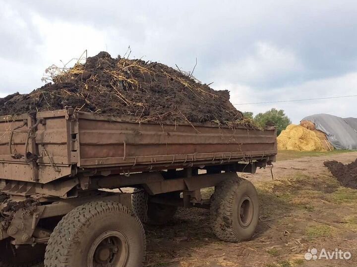 Продаю навоз на огород