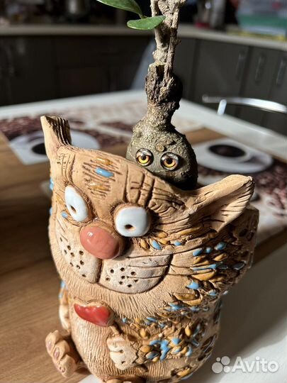 Фикус микрокарпа бонсай