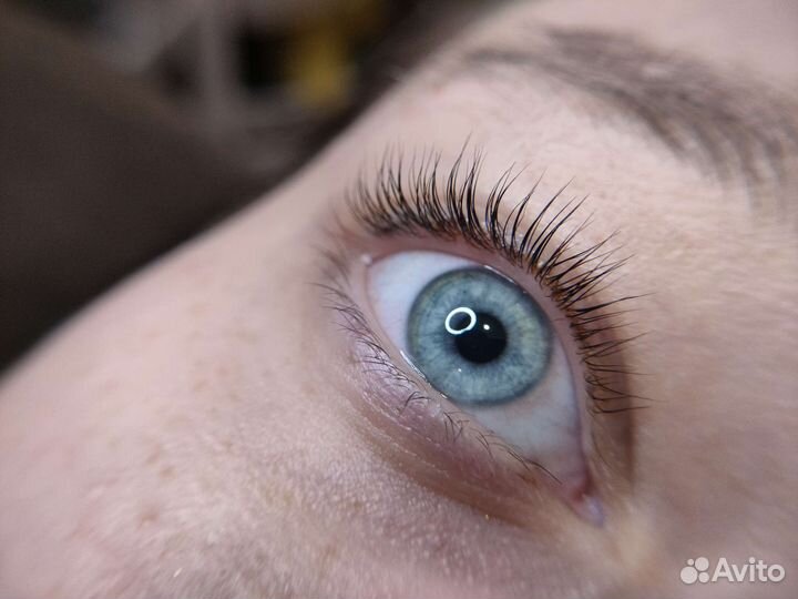 Обучение по ламинированию ресниц и бровей