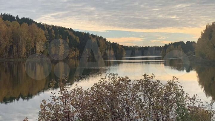 Участок 21,5 сот. (ИЖС)