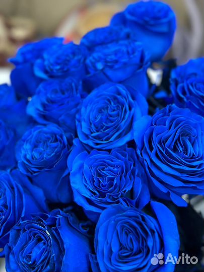 Цветы розы синие и букеты с доставкой 24