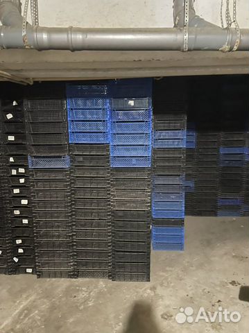 Ящики грибные