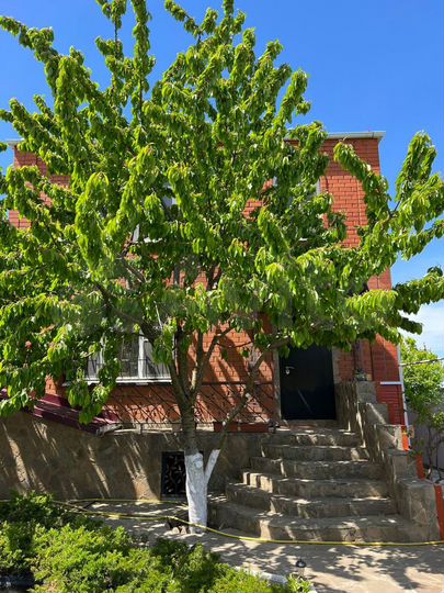 Дом 166 м² на участке 22 сот.