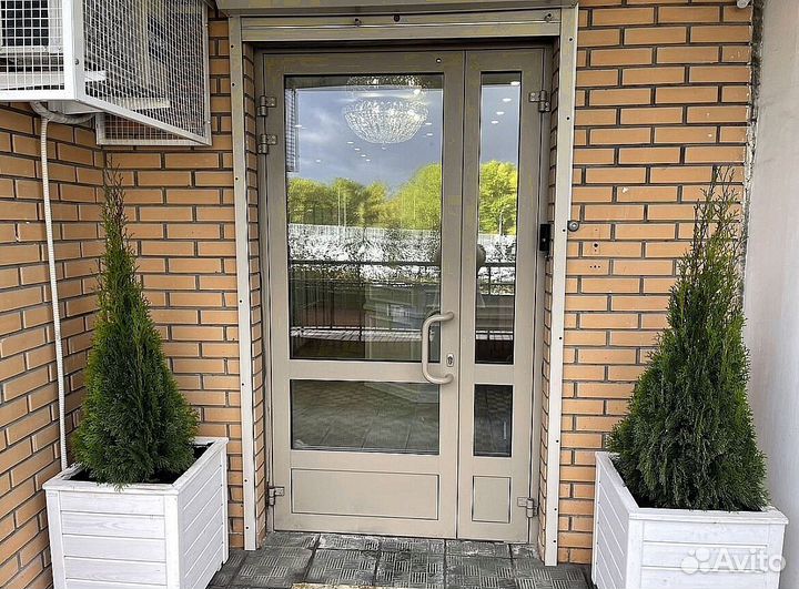 Туя екстра класса