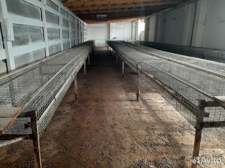 Клетка для кролика