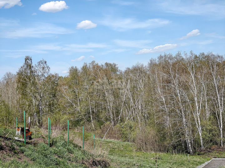 Участок 11 сот. (СНТ, ДНП)