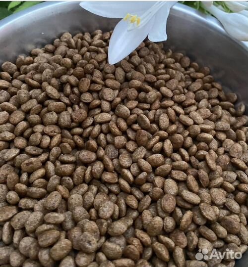 Корм холистик для щенков 5кг