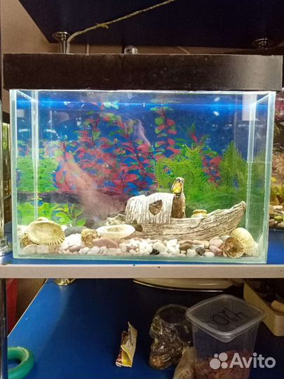 Аквареум