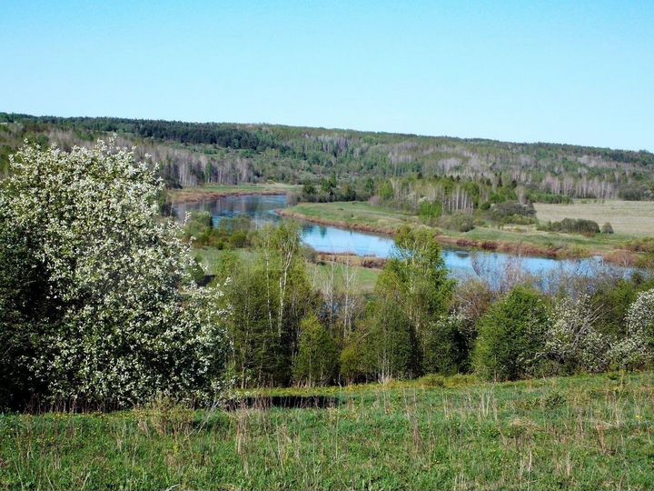 Участок 6 га (СНТ, ДНП)