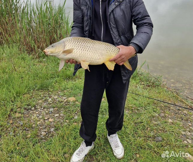 Vip рыбалка новый пруд