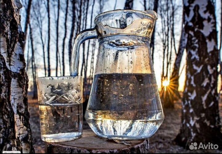 Березовый сок (замороженный)