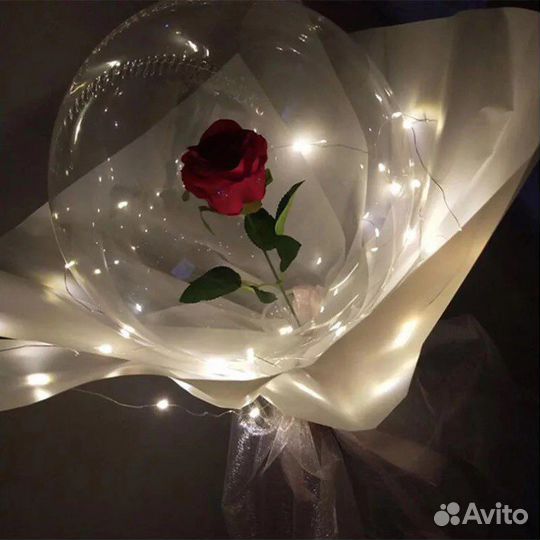 Цветы (роза в шаре )