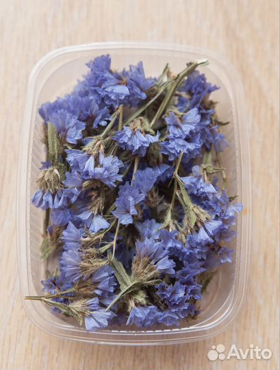 Сухоцветы для творчества