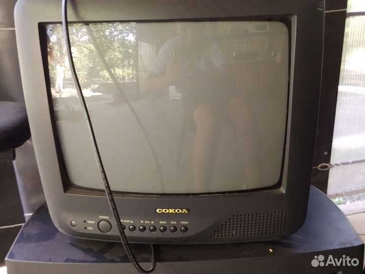 Два телевизора Philips и сокол