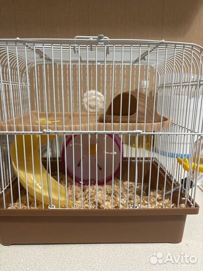 Клетка для хомяка джунгарика
