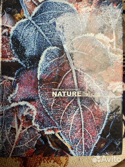 Дневник школьный